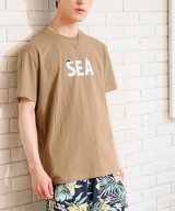 キャメル