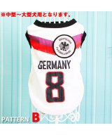 その他系1(B)