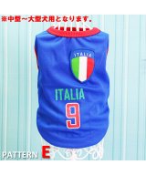 その他系4(E)