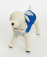 ターコイズ