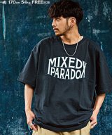 その他系12(M)