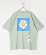 ソフトグリーン