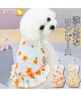 オレンジ