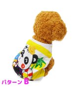 その他系1(パターンB)