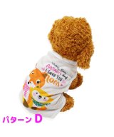 その他系3(パターンD)