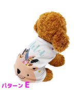 その他系4(パターンE)