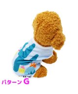 その他系6(パターンG)