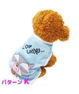 その他系10(パターンK)