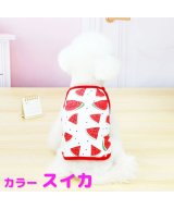その他(スイカ)