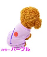 パープル