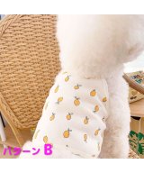 その他系1(パターンB)