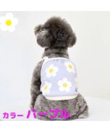 パープル