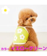 グリーン