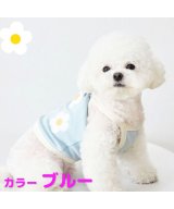 ブルー