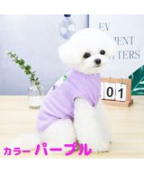 パープル