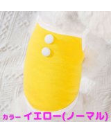 イエロー系1