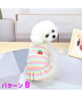 その他系1(パターンB)