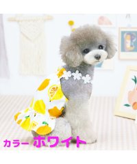 mowmow/犬 服 犬服 かわいい 夏用 mowmow スカート ドレス レモン ワンピース おしゃれ 汚れ防止 防虫 防寒 エアコン対策 おしゃれ 春夏 秋冬 dop00/504201007