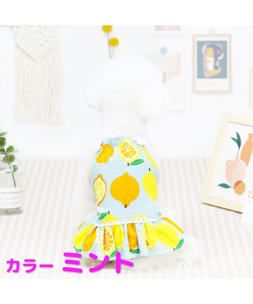 犬 服 犬服 かわいい 夏用 Mowmow スカート ドレス レモン ワンピース おしゃれ 汚れ防止 防虫 防寒 エアコン対策 おしゃれ 春夏 秋冬 Dop00 マウマウ Mowmow D Fashion 犬 服 犬服 かわいい 夏用 Mowmow スカート ドレス レモン ワンピース おしゃれ 汚れ防止 防虫 防寒 エアコン対策 おしゃれ 春夏 秋冬 Dop00 マウマウ Mowmow D Fashion