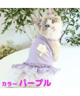パープル