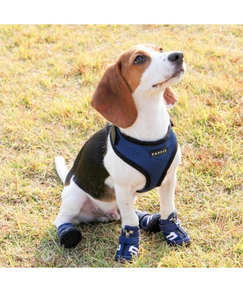 セール 犬 靴 犬靴 犬用靴 ドッグシューズ スニーカー 夏 肉球やけど防止 ファスナー 履かせやすい くつ 春 夏 春夏 夏服 毛抜け防止 毛落ち防止 おしゃれ 可 はっぴーdog Happy Dog D Fashion セール 犬 靴 犬靴 犬用靴 ドッグシューズ スニーカー 夏 肉球やけど防止 ファスナー 履かせやすい くつ 春 夏 春夏 夏服 毛抜け防止 毛落ち防止 おしゃれ 可 はっぴーdog Happy Dog D Fashion
