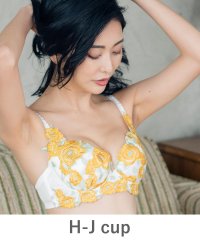 fran de lingerie/フランデランジェリー fran de lingerie GRACE Grande らくらく補正グレースグランデ コーディネートブラジャー H65ーJ90カップ/503654691