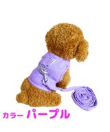 パープル