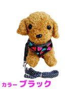 ブラック