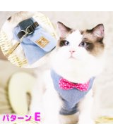 その他系4(パターンE)