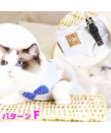 その他系5(パターンF)
