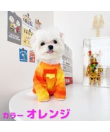 オレンジ