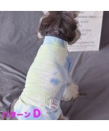 その他系3(パターンD)