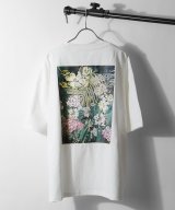 ホワイト系2