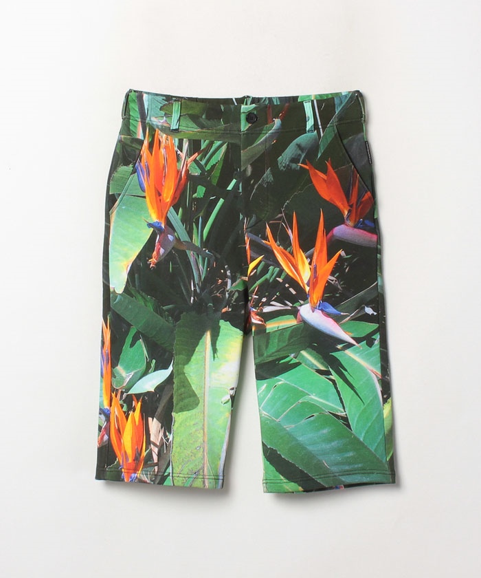 セール】【Outlet】NS71 BERMUDA フォトプリントバミューダパンツ セール】【Outlet】NS71 BERMUDA フォトプリントバミューダパンツ