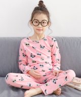 その他系1(フレンチブルドッグ×ピンク)