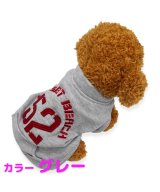 その他(パターンA)