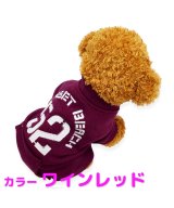 その他系1(パターンB)