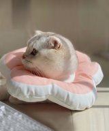 ピンク