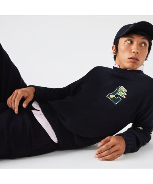 セール40 Off カレッジデザインクルーネックニットセーター ラコステ メンズ Lacoste Mens D Fashion