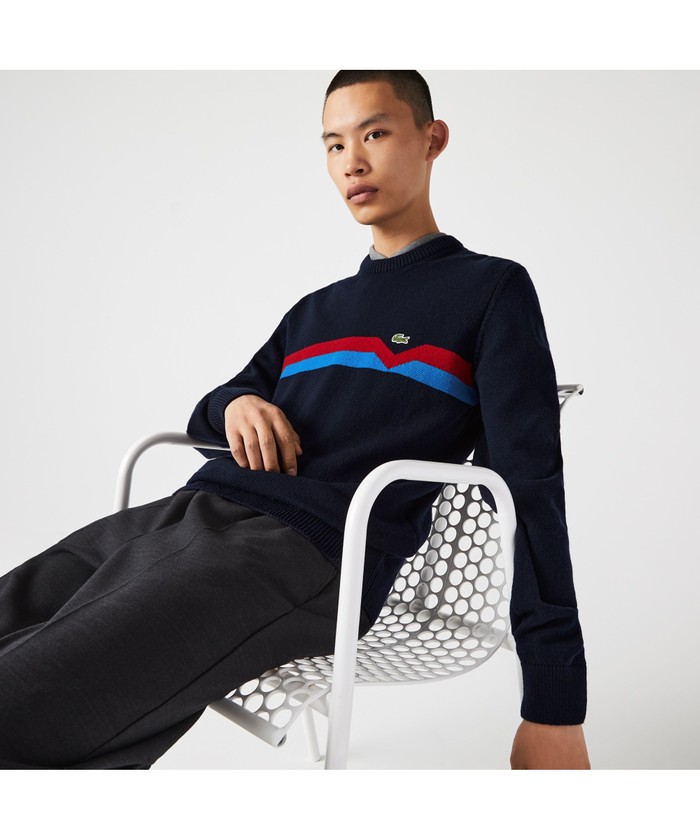 ラコステ(LACOSTE) メンズセーター・ニット・ベスト | 通販・人気 ...