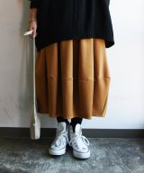 キャメル系1