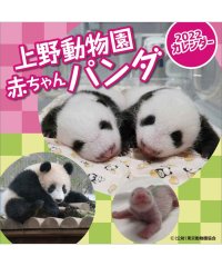 Hand Sign/上野動物園赤ちゃんパンダ/504315890