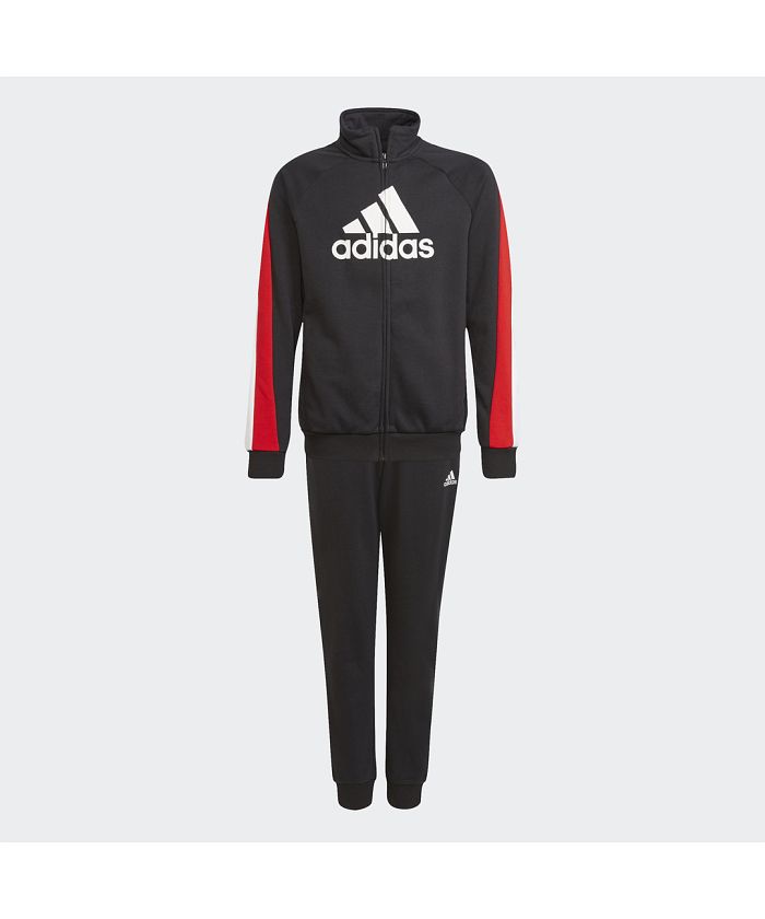 【セール 30%OFF】カラーブロック ビッグ バッジ オブ スポーツ ...