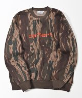 その他系1(カモ×コッパー)