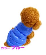 ブルー