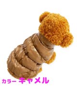 キャメル