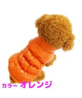 オレンジ