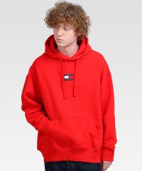 TOMMY JEANS/TJM TOMMY BADGE HOODIE/504349362