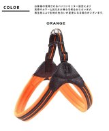 オレンジ