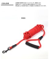 レッド